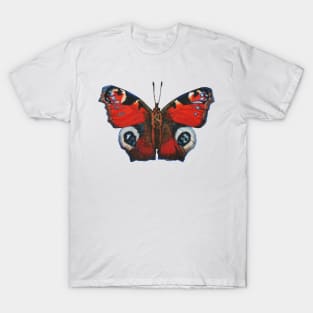 Peacock Butterfly T-Shirt